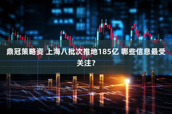 鼎冠策略资 上海八批次推地185亿 哪些信息最受关注？