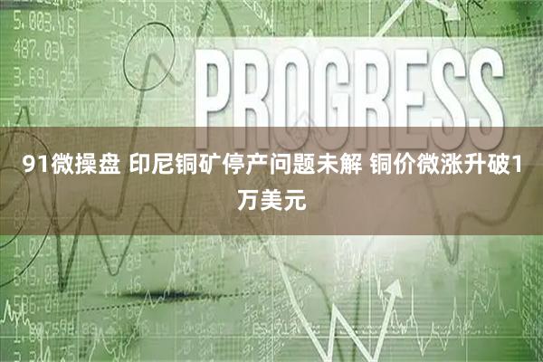 91微操盘 印尼铜矿停产问题未解 铜价微涨升破1万美元