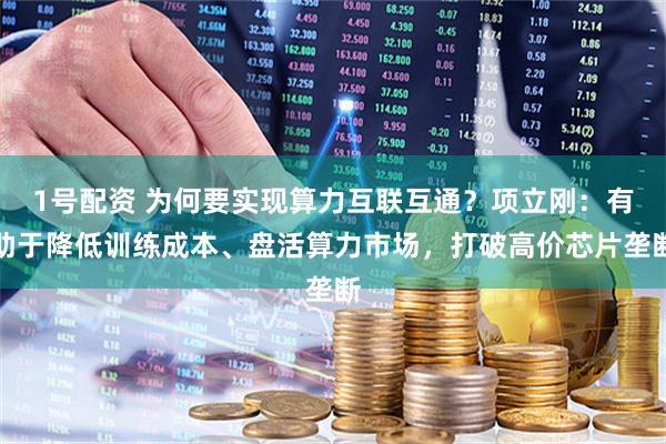 1号配资 为何要实现算力互联互通？项立刚：有助于降低训练成本、盘活算力市场，打破高价芯片垄断