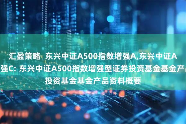 汇盈策略  东兴中证A500指数增强A,东兴中证A500指数增强C: 东兴中证A500指数增强型证券投资基金基金产品资料概要
