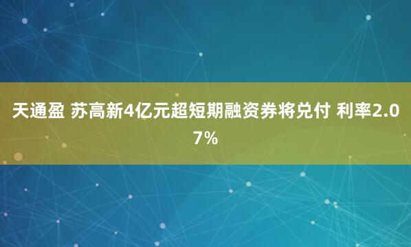 天通盈 苏高新4亿元超短期融资券将兑付 利率2.07%