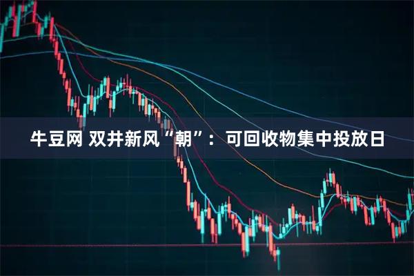 牛豆网 双井新风“朝”：可回收物集中投放日