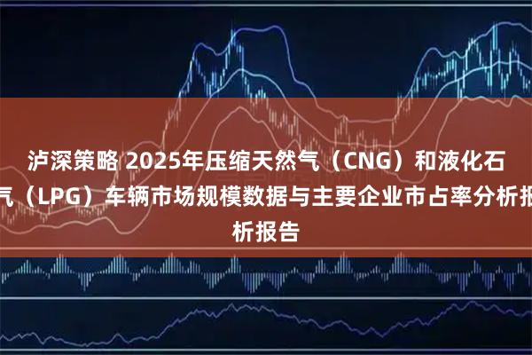 泸深策略 2025年压缩天然气（CNG）和液化石油气（LPG）车辆市场规模数据与主要企业市占率分析报告