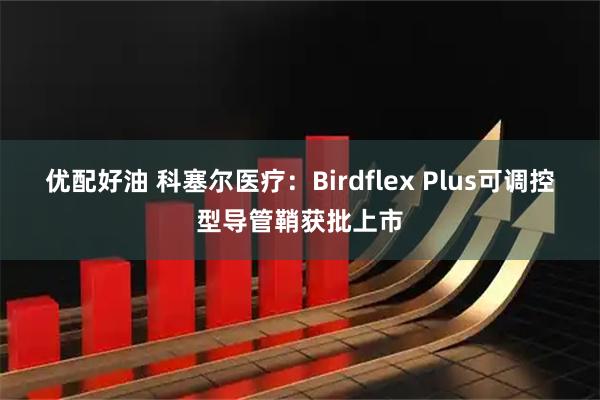 优配好油 科塞尔医疗：Birdflex Plus可调控型导管鞘获批上市