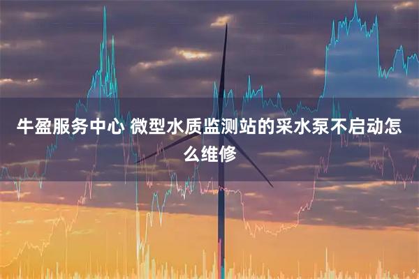 牛盈服务中心 微型水质监测站的采水泵不启动怎么维修