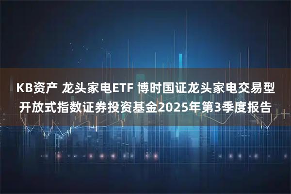 KB资产 龙头家电ETF 博时国证龙头家电交易型开放式指数证券投资基金2025年第3季度报告