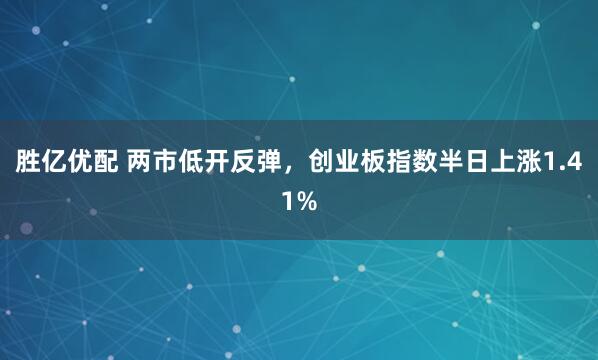 胜亿优配 两市低开反弹，创业板指数半日上涨1.41%